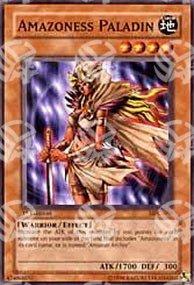 Paladina Amazoness - Magician's Force (Common) [MFC-059]