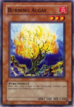 Algae Infuocate - Dark Revelation 2 (Common) [DR2-063]