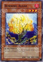 Algae Infuocate - Dark Revelation 2 (Common) [DR2-063]