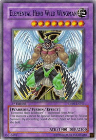 Uomo Alato Selvaggio EROE Elementale - Duelist Pack: Jaden Yuki 2 (Common) [DP03-011]