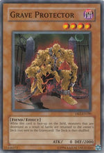 Protettore di Tomba - Dark Revelation 2 (Common) [DR2-190]