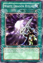 Rituale del Drago Bianco - Starter Deck: Kaiba Evolution (Common) [SKE-025]