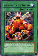 Natura Selvaggia - Dark Revelation 2 (Rare) [DR2-033]