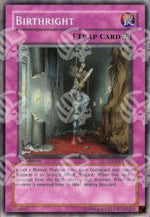 Diritto di Nascita - Starter Deck: Yu-Gi-Oh! 5D's (Common) [5DS1-040]