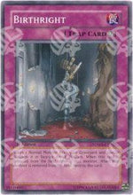 Diritto di Nascita - Structure Deck: Warrior's Strike (Common) [SDWS-037]
