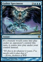 Raccogliere Esemplari - Shards of Alara (Rare) [ALA-45]