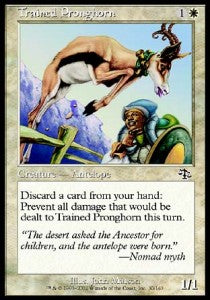 Cornapunta Addestrata - Sentenza (Common) [JUD-30]