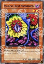 Mandragola Pianta Magica - Structure Deck: Spellcaster's Command (Common) [SDSC-012]
