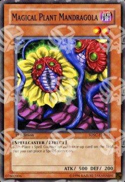 Mandragola Pianta Magica - Structure Deck: Spellcaster's Command (Common) [SDSC-012]