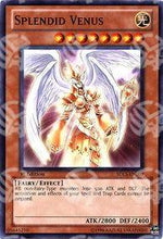 Venere Splendida - Structure Deck: Lost Sanctuary (Common) [SDLS-009]