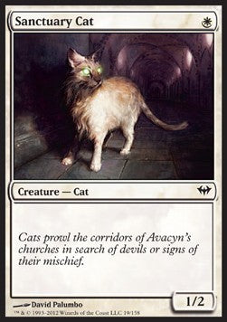 Gatto del Santuario - Dark Ascension (Common) [DKA-19]