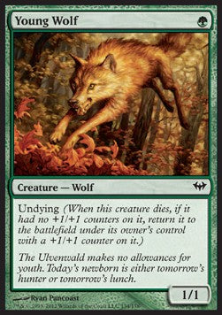 Giovane Lupo - Dark Ascension (Common) [DKA-134]