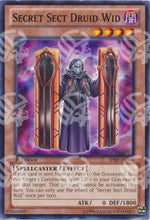 Druido Wid Setta Segreta - Shadow Specters (Common) [SHSP-008]