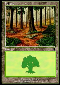 Foresta - Odissea (Land) [ODY-347]