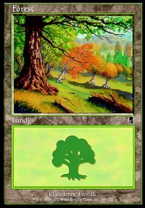 Foresta - Odissea (Land) [ODY-349]