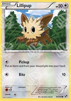Lillipup - Nero e Bianco (Common) [BLW-80]