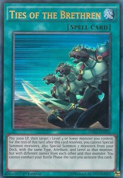 Legami dei Compagni - I Deck Leggendari II (Ultra Rare) [LDK2-Y02]