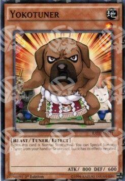 Yokotuner - Raging Tempest (Common) [RATE-031]