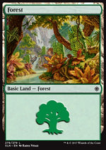 Foresta - Ixalan (Land) [XLN-278]