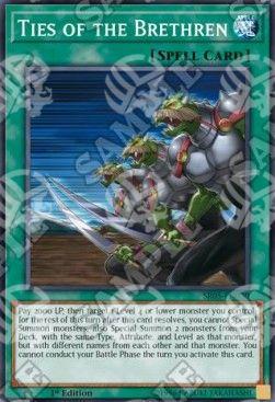 Legami dei Compagni - Structure Deck: Wave of Light (Common) [SR05-030]
