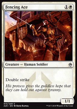 Campione di Scherma - Masters 25 (Common) [A25-13]