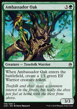 Quercia Ambasciatrice - Masters 25 (Common) [A25-158]