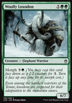 Lossodonte Lanuto - Masters 25 (Common) [A25-195]