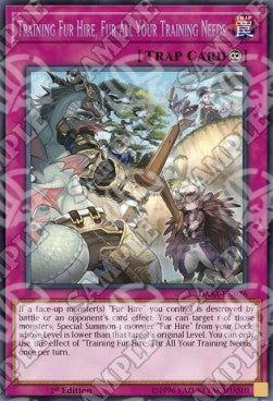 Addestramento Pelliccia Mercenaria, Tutte le Vostre Necessità - Dark Saviors (Secret Rare) [DASA-026]