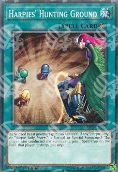 Terreno di Caccia delle Arpie - Speed Duel Starter Decks: Duelists of Tomorrow (Common) [SS02-C13]
