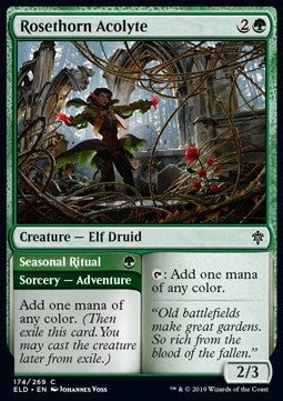 Accolita del Rosaspino // Rito Stagionale - Throne of Eldraine (Common) [ELD-174]