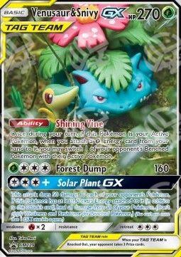 Venusaur & Snivy GX - SM Black Star Promos (Promo) [SM-229]