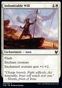 Volontà Indomita - Theros Beyond Death (Common) [THB-25]