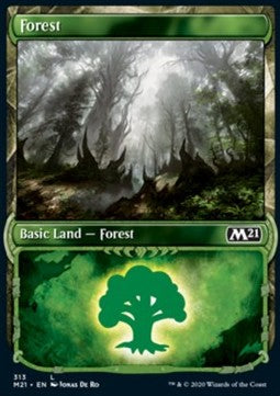 Foresta - Set Base 2021: Extras (Land) [XM21-313]