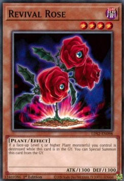 Rosa della Rinascita - Legendary Duelists: Season 2 (Common) [LDS2-098]