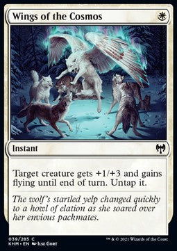 Ali del Cosmo - Kaldheim (Common) [KHM-39]