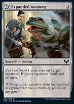 Anatomia Estesa - Strixhaven: Scuola dei Maghi (Common) [STX-2]