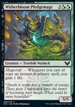 Mago Iniziato di Germoglioscuro - Strixhaven: Scuola dei Maghi (Common) [STX-249]