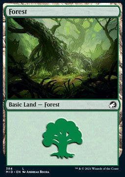 Foresta - Innistrad: Caccia di Mezzanotte: Extras (Land) [XMID-384]