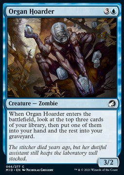 Accaparratore di Organi - Innistrad: Caccia di Mezzanotte (Common) [MID-66]