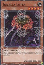 Ibicella Lutea - 2021 Tin of Ancient Battles (Common) [MP21-009]