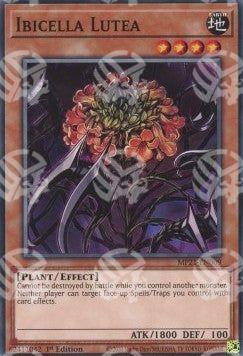 Ibicella Lutea - 2021 Tin of Ancient Battles (Common) [MP21-009]