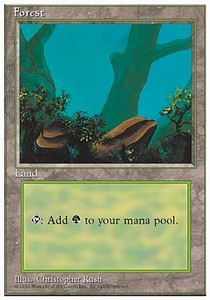 Foresta - Quarta Edizione (Land)