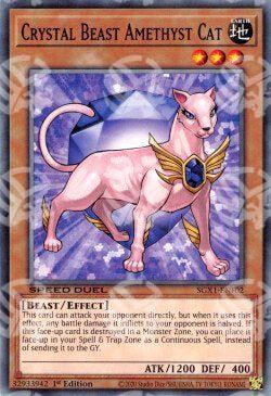 Bestia Cristallo Gatto Ametista - Speed Duel GX: Cofanetto Accademia del Duellante (Common) [SGX1-F02]