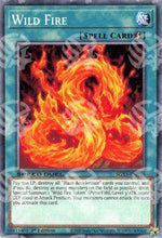 Fuoco Selvaggio - Speed Duel GX: Cofanetto Accademia del Duellante (Common) [SGX1-H16]