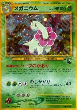 Meganium - Intro Pack Neo Chikorita (Fixed)
