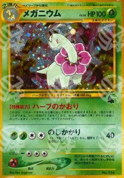 Meganium - Intro Pack Neo Chikorita (Fixed)