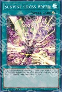 Solarvite Incrocio di Specie - Tin delle Divinità del Faraone 2022 (Super Rare) [MP22-116]