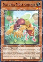 Naturia Grillotalpa - Darkwing Blast (Common) [DABL-020]