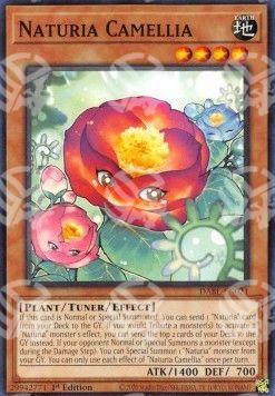 Naturia Camelia - Darkwing Blast (Common) [DABL-021]