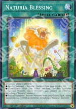 Benedizione Naturia - Darkwing Blast (Common) [DABL-064]